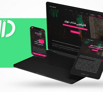 طراحی سایت قالیشویی