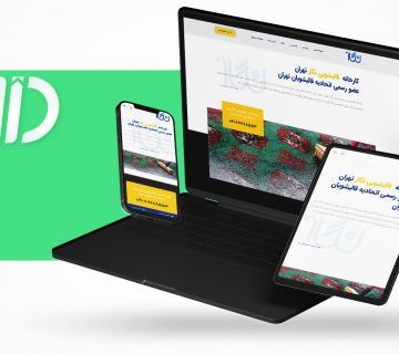 طراحی سایت قالیشویی و شرکتی